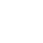 SHINERAY
