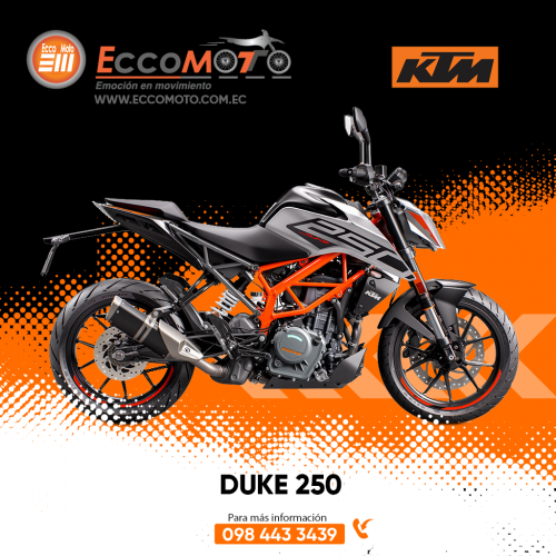 duke-250