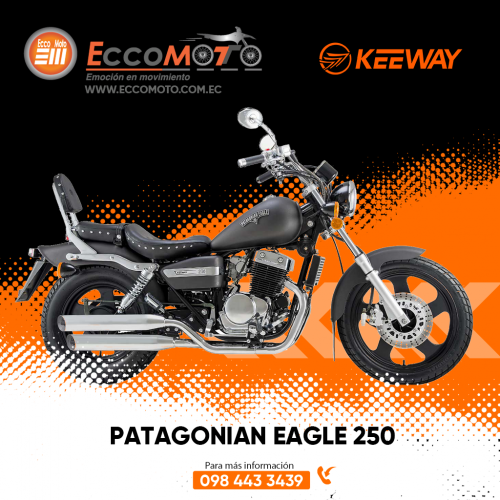 patagonian-eagle-250